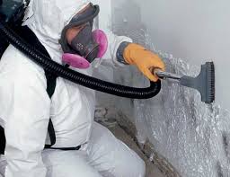 Mold Removal for HVAC Installations in Windcrest, TX